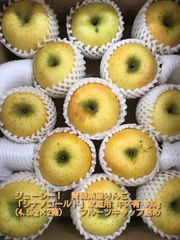 【ジューシー】青森県産りんご「シナノゴールド」家庭用 キズ有 約9kg(4.5kg×2箱) 【フルーツキャップ詰め】