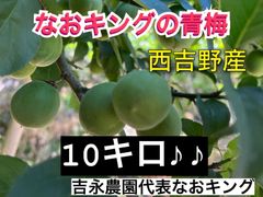 青梅 10キロ 西吉野産6月上旬発送 なおキング 梅