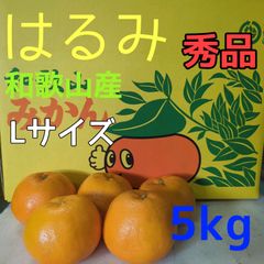 ぷりぷり！はるみ　和歌山みかん　秀品 L 5kg