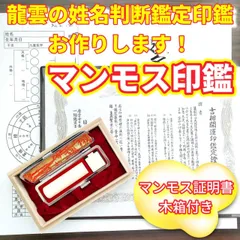 亀甲印鑑  亀甲  亀甲印  六角形印鑑  マンモス牙  マンモス  亀甲印材 亀甲印鑑 亀甲 亀甲印 六角形印鑑 マンモス牙 マンモス 亀甲印材