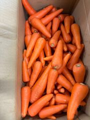 業務用価格！！送料無料！安い！野菜　人参 10kg 超訳あり　業務用　にんじん