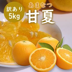 【季節限定】甘夏 5kg みかん 送料無料 蜜柑 ご家庭用 箱買い サイズミックス あなまつ ミカン 柑橘 フルーツ 果物 産地直送 愛媛県産