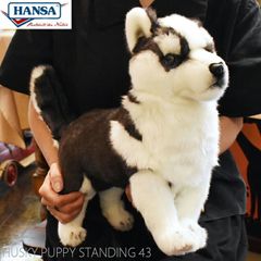 HANSA BH7512 シベリアン・ハスキー(仔) 43 HUSKY PUPPY STANDING 43cm 子犬 こいぬ 犬 ドッグ 愛犬 リアル ぬいぐるみ ハンサ 動物 アニマル 置物 人形 フィギュア ハスキー犬 実物大 大型 7512