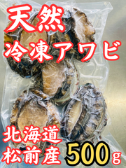 天然 冷凍蝦夷アワビ 500g 北海道 松前産 あわび