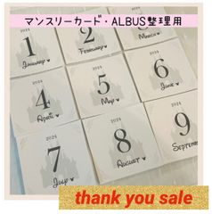 2505【即日発送】♡大人気♡マンスリーカード　月齢カード　アルバス整理用