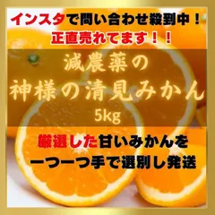 清見みかん 訳あり 5kg 和歌山県産 清見オレンジ 旬の果物