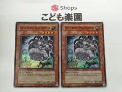 遊戯王 素早いビッグハムスター 英語 2枚セット 英語版 EU 素早いビッグハムスター - メルカリ