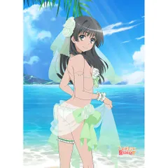 F*】様 シークレット　バスタオル　タペストリー　とある科学　初春飾利 & 佐天 F*】様 シークレット バスタオル タペストリー とある科学 初春
