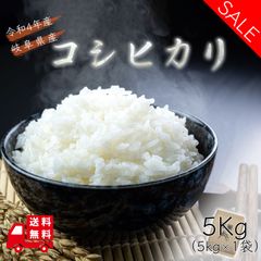 お米 米 5kg 岐阜県産 コシヒカリ 白米 5キロ 令和5年産 送料無料 5kgx1袋 こしひかり 産直 精米