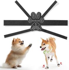 Item thumbnail for item 1d15b0ac-399a-4d6d-a717-b713a35668a4