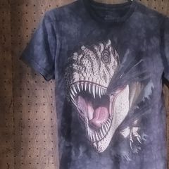THE MOUNTAIN ザマウンテン 　恐竜　プリントＴシャツ　むら染め　キッズサイズＬ　※訳アリ価格