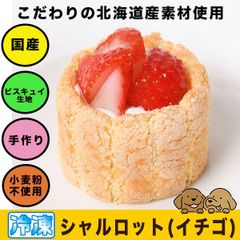 【訳あり】犬用ケーキ シャルロット(イチゴ) ケーキ【北海道産素材】誕生日お祝い