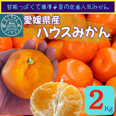 完熟で甘い！夏は冷やして食べるとgood♪愛媛のハウスみかん　2Kg