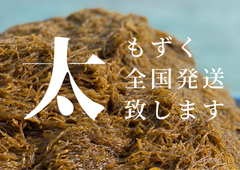 【漁師直送】石垣島産 塩蔵 太もずく 500gx2袋 レシピ付 長期保存可