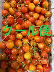 さくらんぼ（紅秀峰）Lサイズ 箱込1キロ程度 福島県産