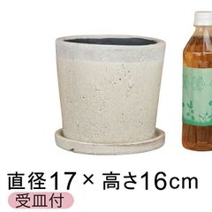 【新品】直径17.5cm クレイパ 植木鉢 おしゃれ かわいい 白 貫入釉薬 受皿付 室内 屋内 多肉植物 観葉植物 小さい鉢