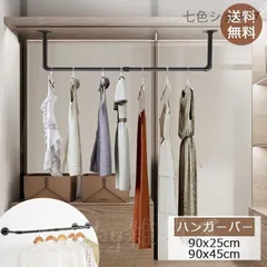 残わずか限定特別価格ハンガーラックアイアンシンプル搬入サービス付配送