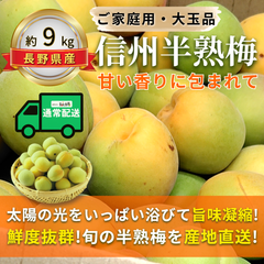 信州半熟梅 ～甘い香りに包まれて～【内容量】約9kg【配送方法】通常配送【サイズ】L以上【品目】梅（うめ）【品種】当店お任せ【産地】長野県【規格】ご家庭用A品B品混合【詰め方】バラ詰め【配送までの日数】1～4日