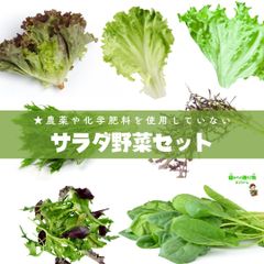 【クールメルカリ便】☆農薬や化学肥料は使用しておりません　サラダ野菜セット　埼玉県産　５品以上！