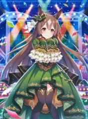 ウマ娘4thEvent サトノダイヤモンド 布タペストリーセット 61Vnzrh2U2L._UF350,350_QL50_.jpg