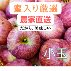 令和７年産蜜入りサンフジ完売御礼！【山形県朝日町産】蜜入りりんご　サンふじ5キロ前後（小玉・ワケあり品）22-24玉