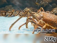ブレンド ロブスター　200g