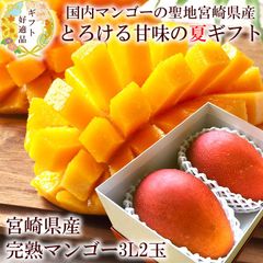 マンゴー 贈り物 内祝い 出産内祝い お祝い 謝礼 お礼 お見舞い 快気祝い お供え ご霊前 手土産ギフト ゴルフコンペ景品 ご結婚お祝い 結婚内祝い 寿 [宮崎完熟マンゴー3Ｌ2玉A] 冷蔵便 クール便