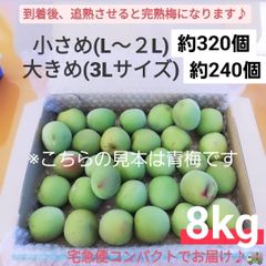 紀州南高梅 3kg 完熟梅 訳あり クール便 和歌山産 - メルカリ