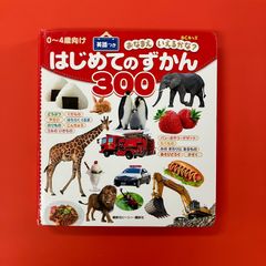 おなまえ いえるかな? はじめてのずかん300 英語つき　ym_c1004_6426
