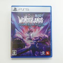 PlayStation5 ワンダーランズ ～タイニー・ティナと魔法の世界