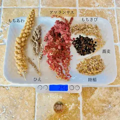 〈種〉お試し６点セット　陸稲(もち) ＆ 雑穀５種【自然農・自家採種・固定種・在来種・協生農法】