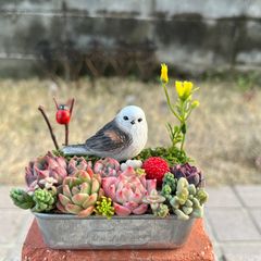 ♡そのまま飾れる♡リメ鉢♬ハロウィンの多肉植物寄せ植え
