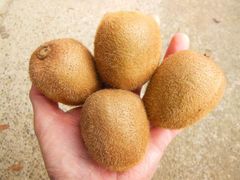 残り僅か！希少で甘くて美味しいキウイフルーツ香翠！　中～大玉サイズ追熟前の果実4㎏強