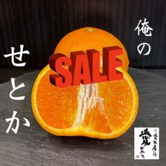 愛媛産　せとか　家庭用5kg