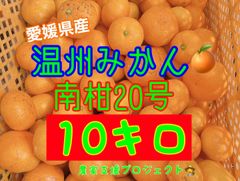 温州みかん10キロ
