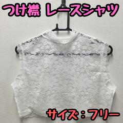 e096【新品・未使用品】つけ襟 レースシャツ フリーサイズ 付け襟 ハイネック 立襟 重ね着用 レイヤード ノースリーブ 偽の襟 シースルー 透け感 レディース 女性用 婦人用 スタンドカラー 総レースブラウス フリルネック きれいめ フェミニン 白 可愛い