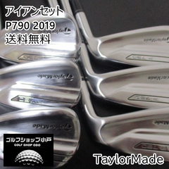 アイアンセット テーラーメイド P790 2019/Dynamic Gold 105/S200/23.5[1843]