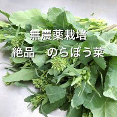 絶品　のらぼう菜