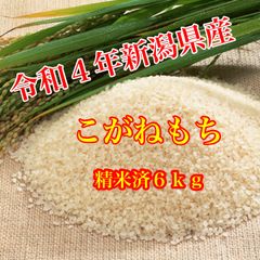 もち米　餅米　新潟米　米　こがねもち