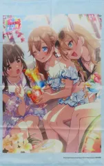 【中古】タペストリー 集合 オリジナルB2タペストリー 「Switch2ソフト シャインポスト Be Your アイドル!」 ソフマップ購入特典