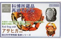 2026年最新】国立科学博物館ミュージアムグッズの人気アイテム - メルカリ