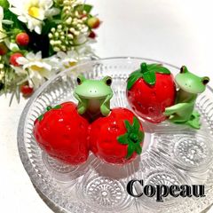 ダイカイコポー《Copeau》★strawberry★いちごSET②