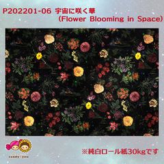 宇宙に咲く華（Flower Blooming in Space）
