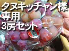 タヌキッチャン様専用　富士の輝　ブラックシャイン