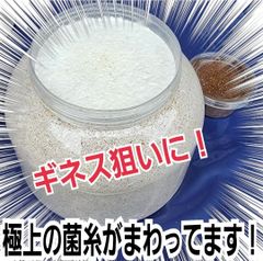 ひめうずら研究室 成鳥用配合飼料 4kg 鳥 餌 ヒメウズラ - メルカリ