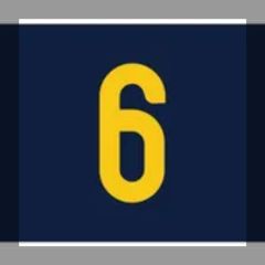 新品】業務用スリッパ ブラウン 26cm （企業ロゴ入り） 24足セット