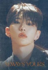 [중고] 식완 스티커·씰 호시 레어 씰 [SVT 웨이퍼스 From PLEDIS ENTERTAINMENT SEVENTEEN]