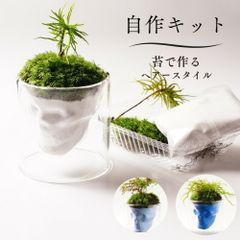 【制作キット】白砂 苔テラリウム 70mm 骸骨 スカルグラス 髪型 ヘアースタイルキット   テラリウム 自作 作成キット