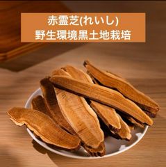 赤霊芝スライス100g 野生環境黒土地栽培　漢方　薬膳　マンネンタケ　万年茸