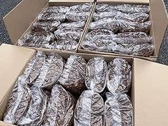 メルSHOP メルちゃん おしょくじ＆おせわセット 4977554513118 人形
